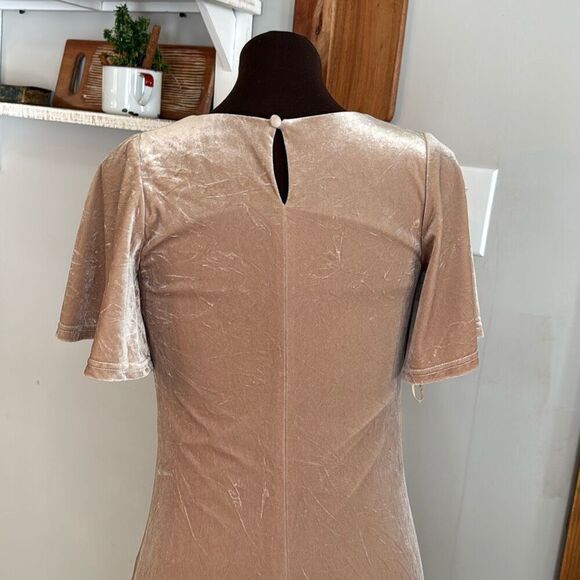Revelry velvet bridesmaid dress size small champagne v neck flutter sleeve long - Picture 6 of 12